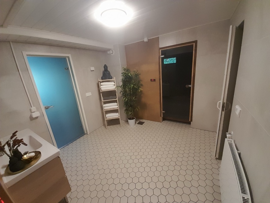 Märkätila: kuusikulmalaattalattia, saunan ovi ja pyykkihuollon kalusteet